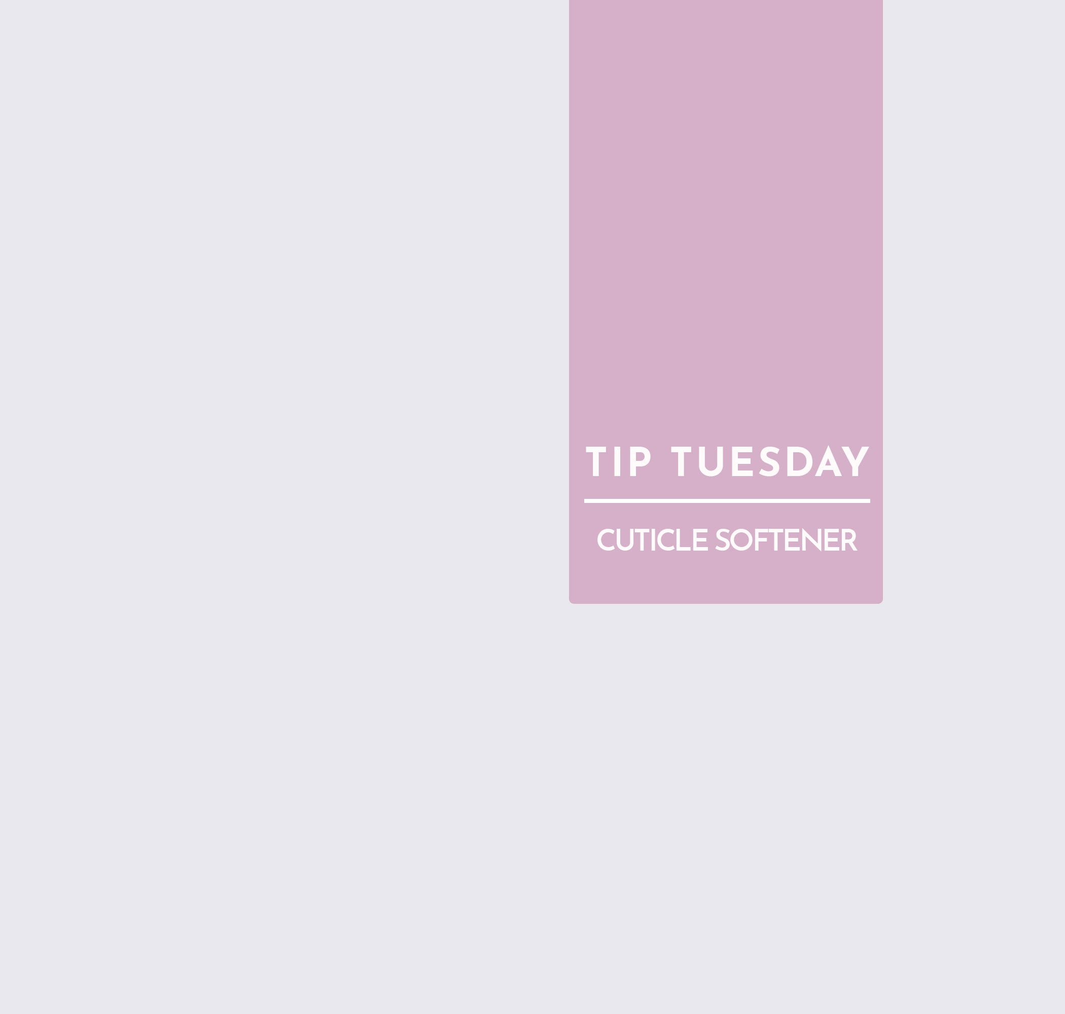 Tip Tuesday: A Must Have Product