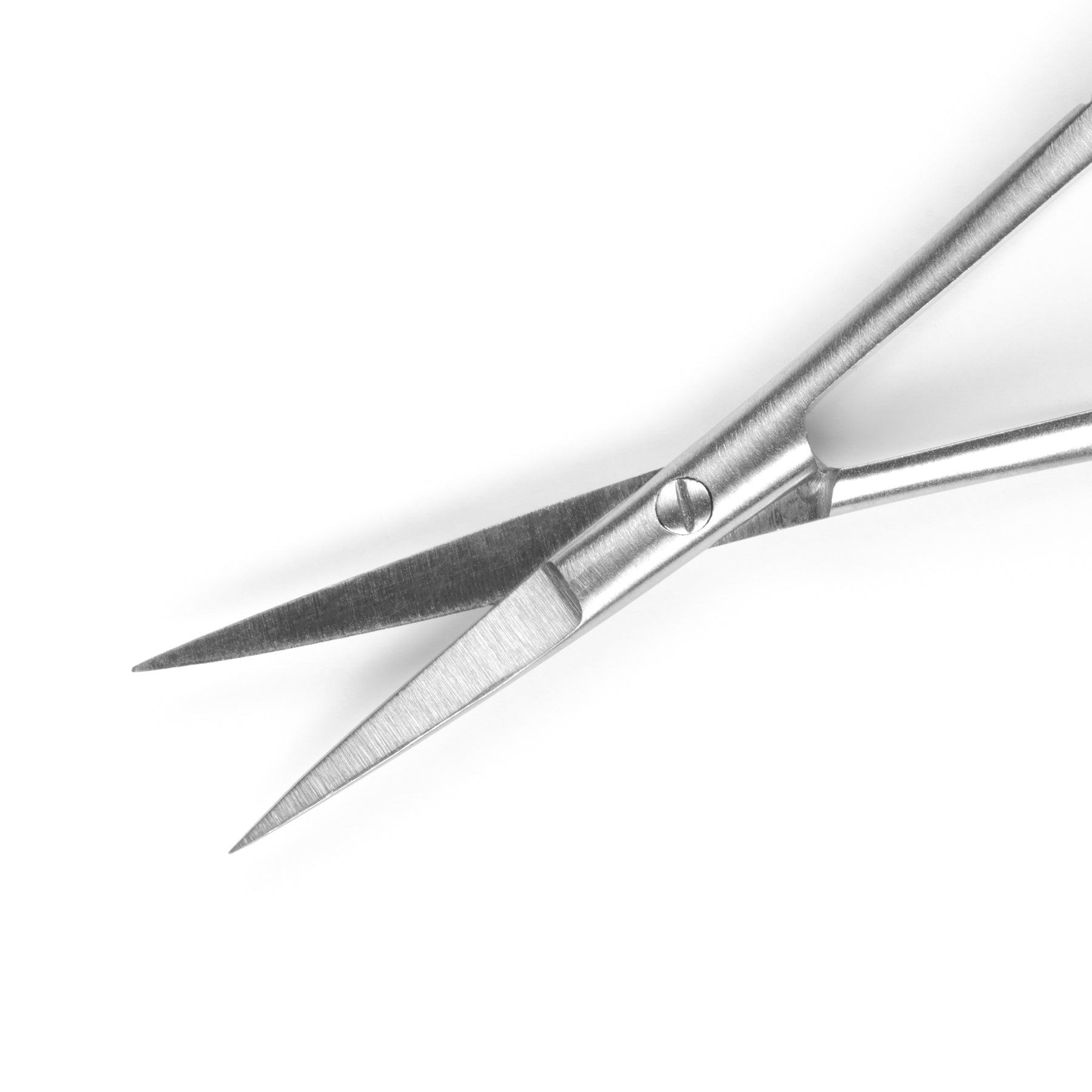 Pair of stainless steel cuticle scissors on a white background