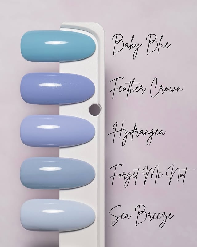 Hydrangea CG623