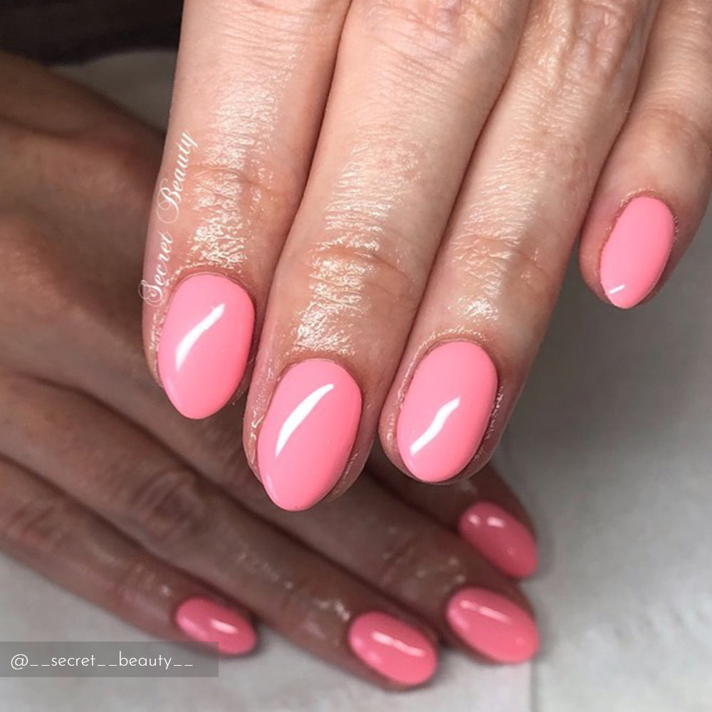 Pink Lady CG990