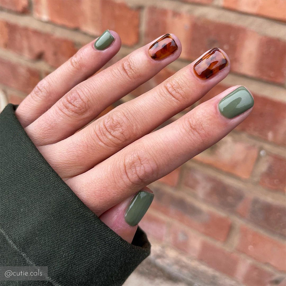 Pine-ing For You GG1082