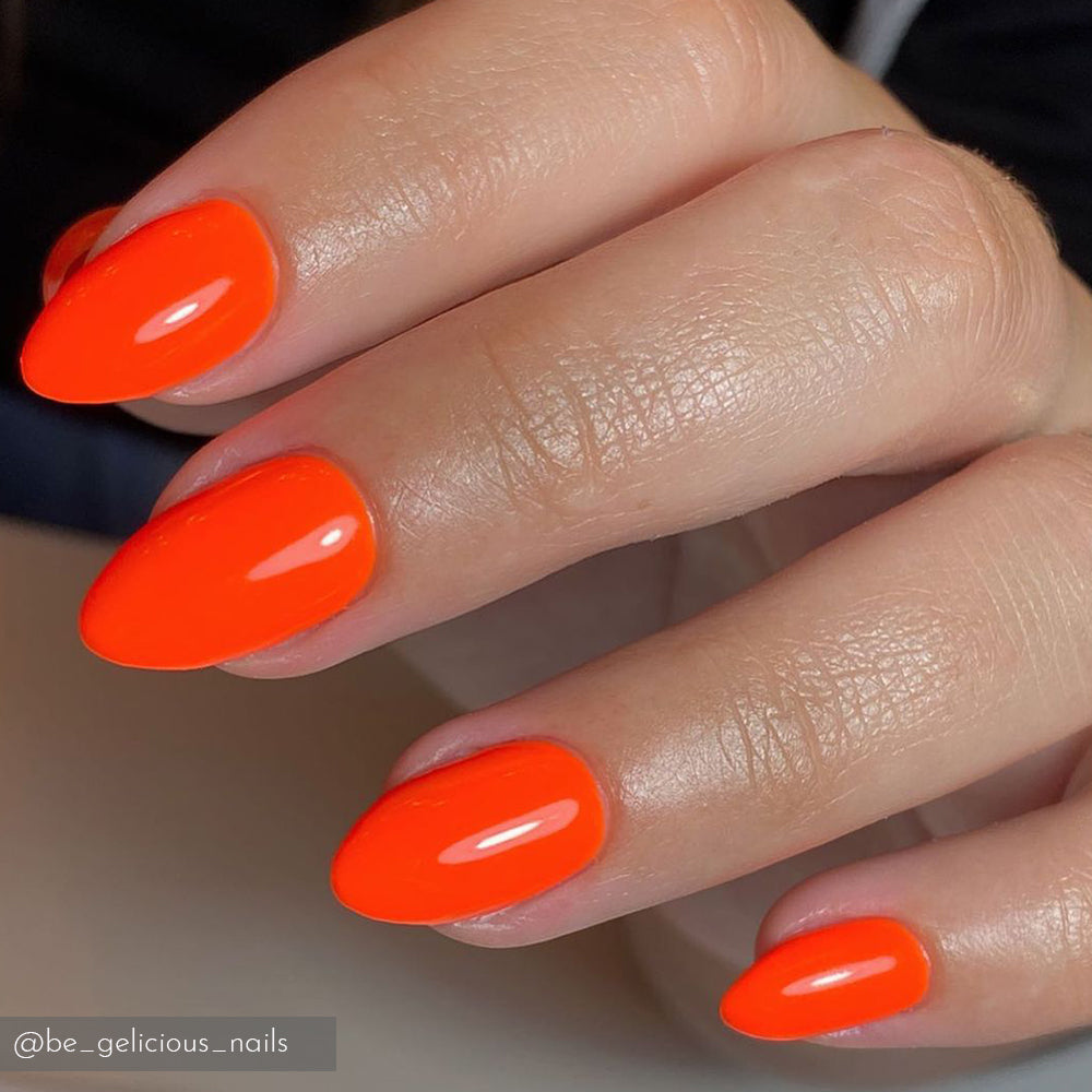 Mambo's Sunset IZ975