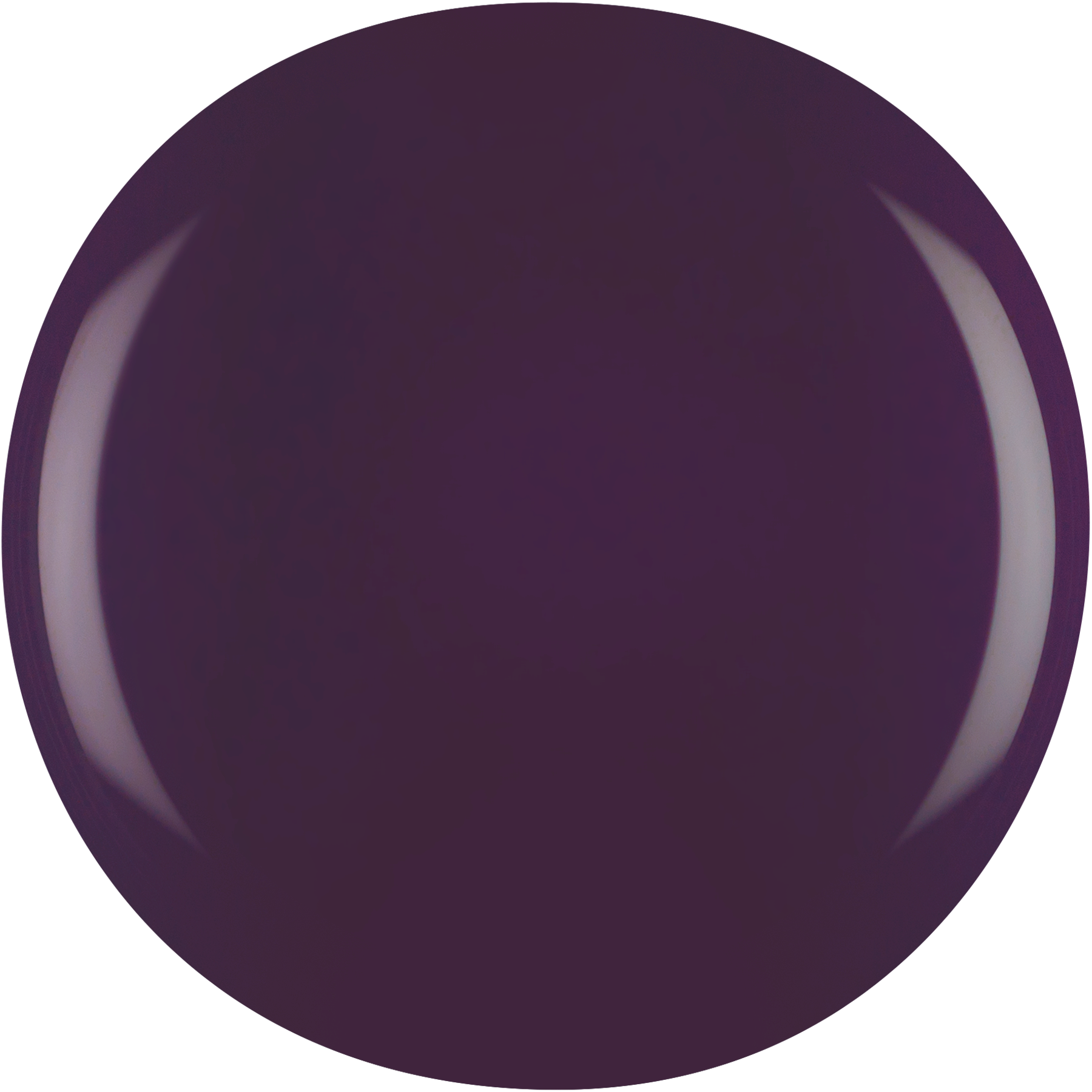 Elderberry IZ787