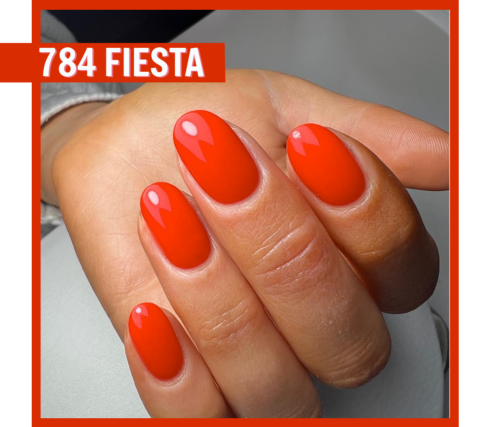 Fiesta CG784