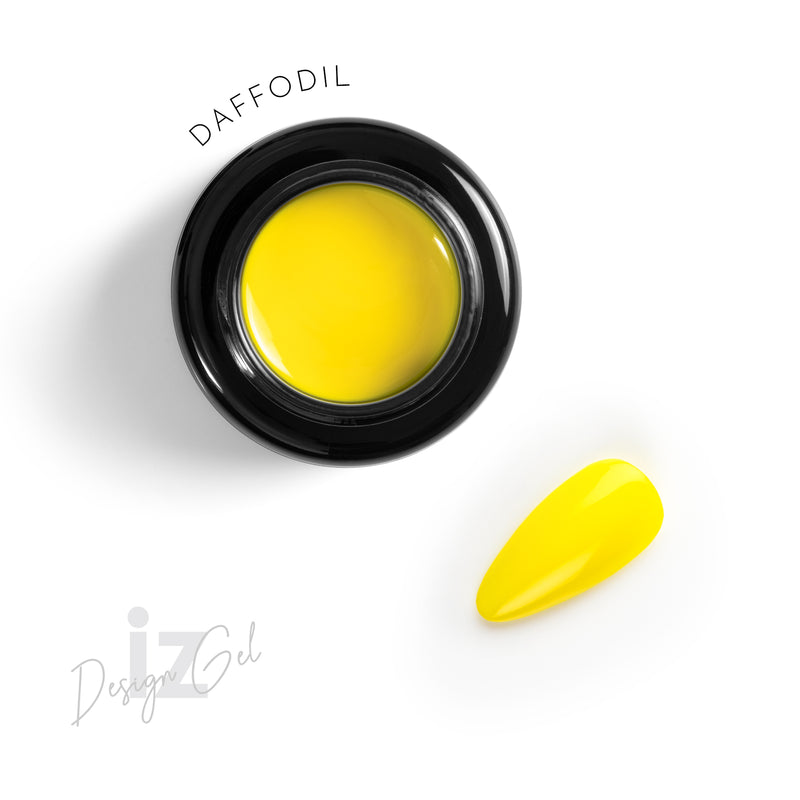 Daffodil DG017