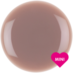 Reflection Mini