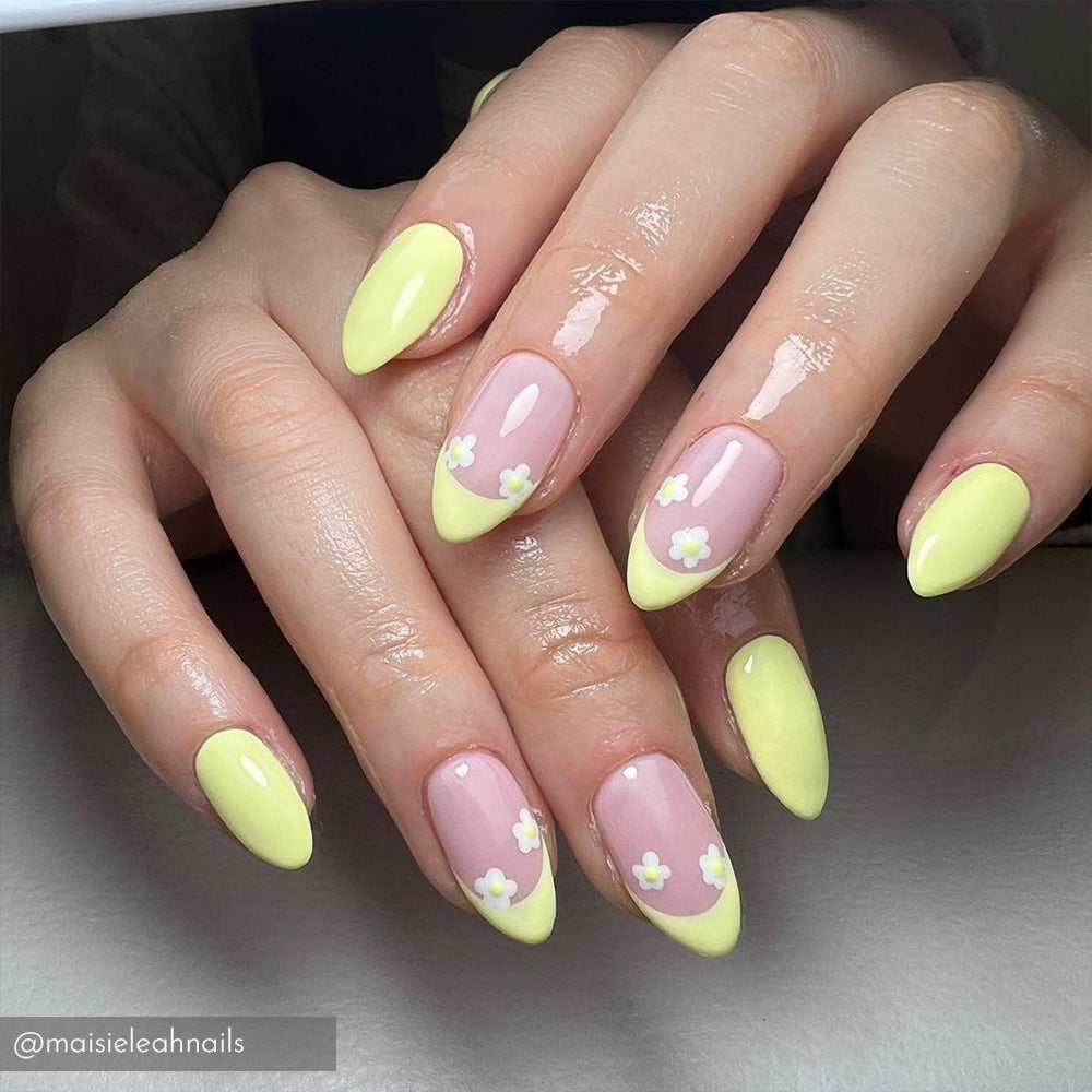 Lemon Meringue IZ944