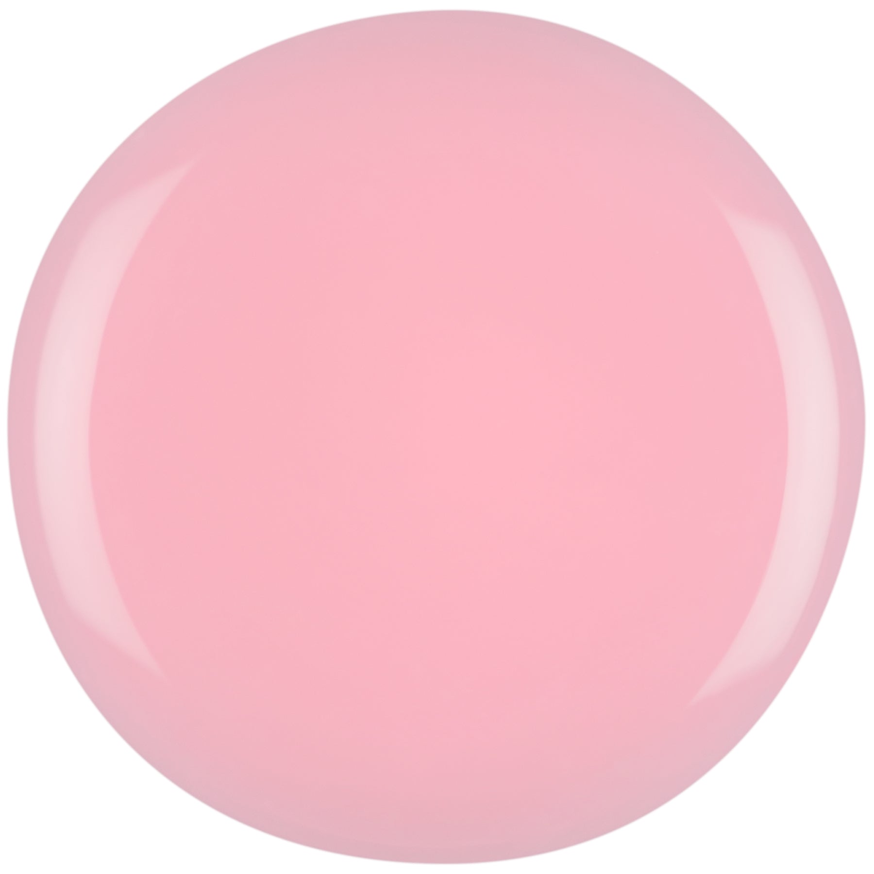 Rosewater CGRW