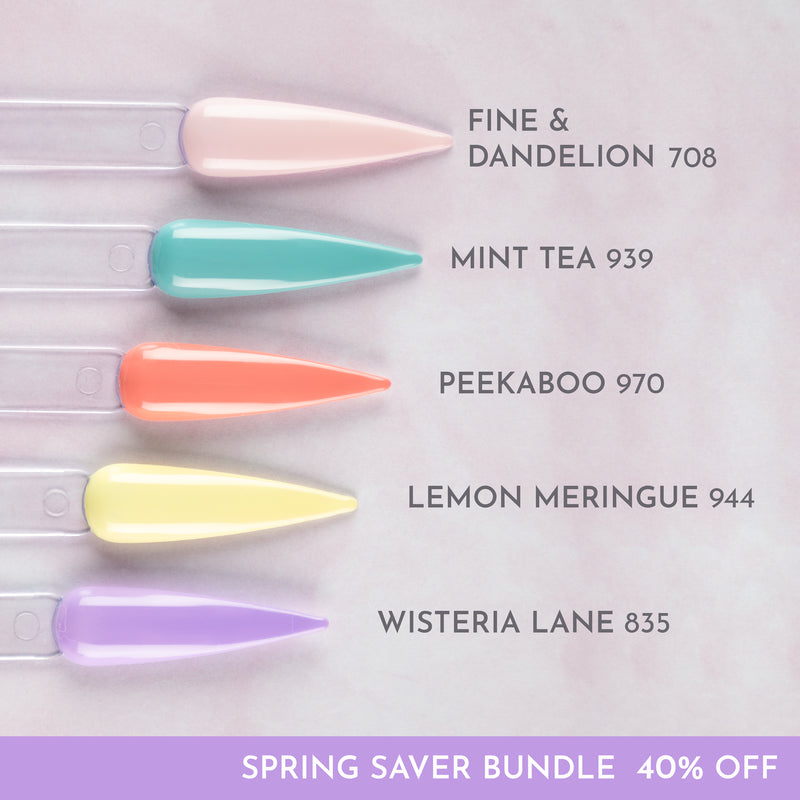 Spring Saver Bundle