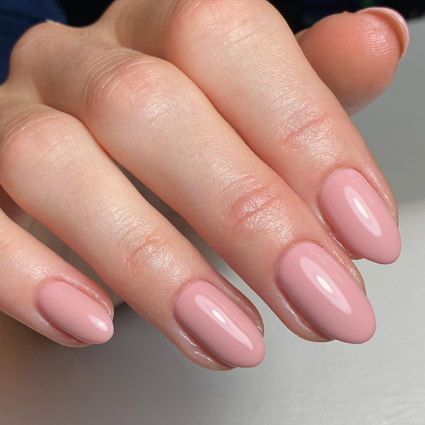 Protea Pink CGPP