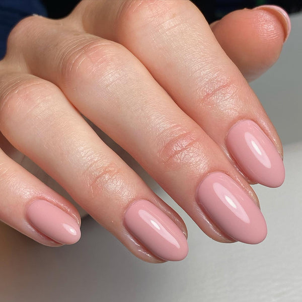 Protea Pink CGPP