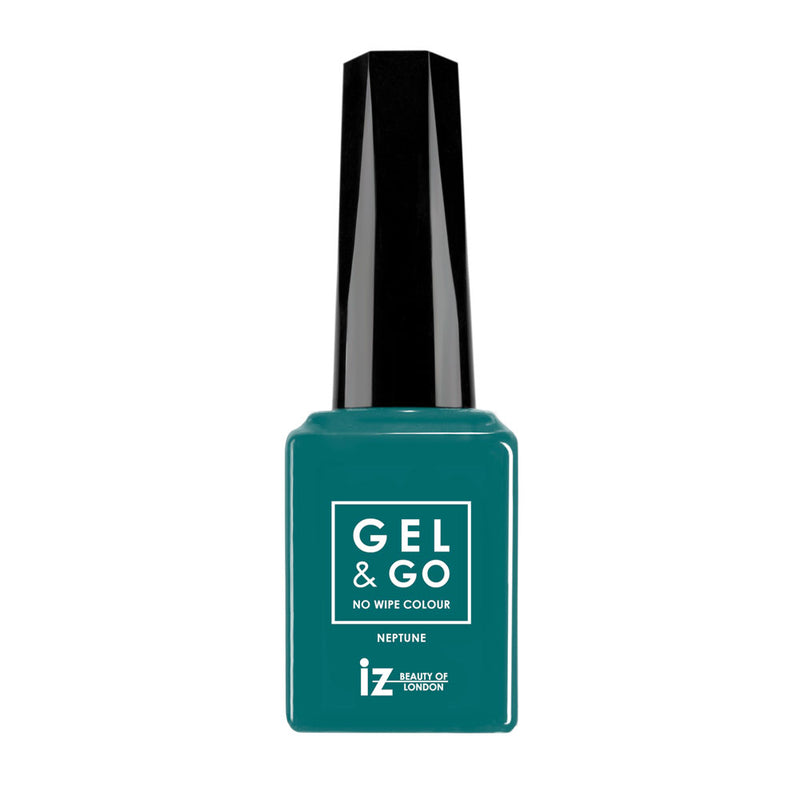 Neptune GG1051