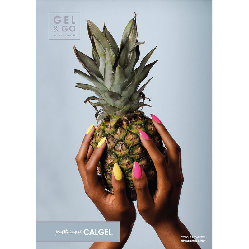 Pineapple Poster