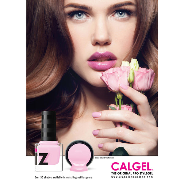 CALGEL Spring 2017 Poster