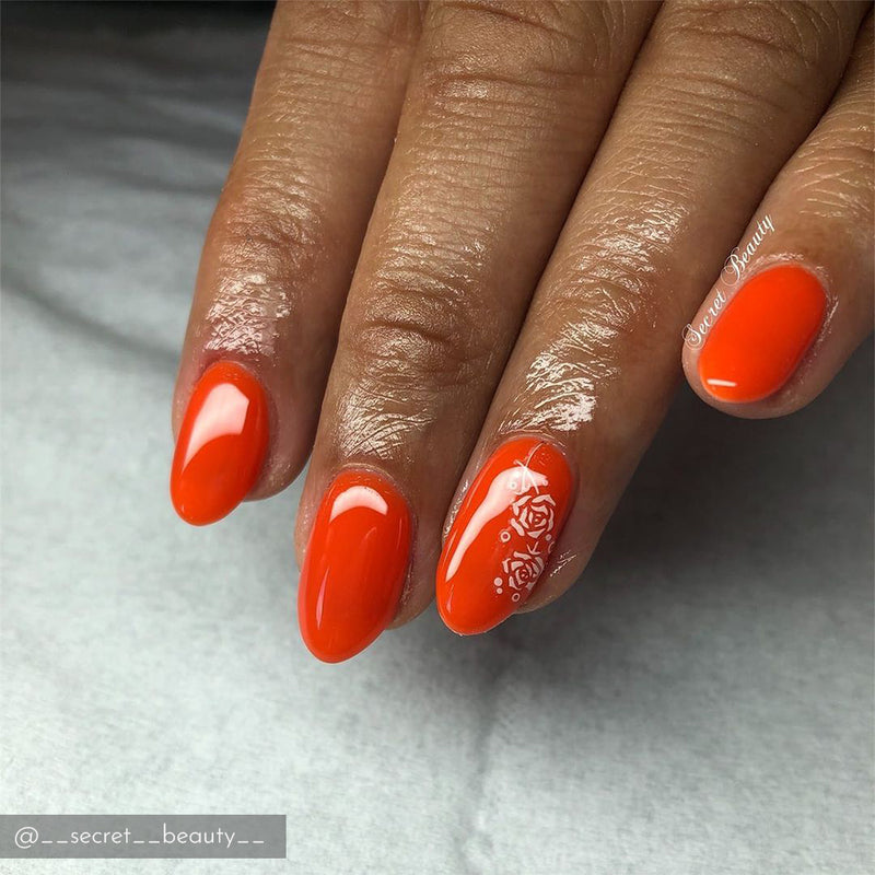 Pumpkin Pie CG119