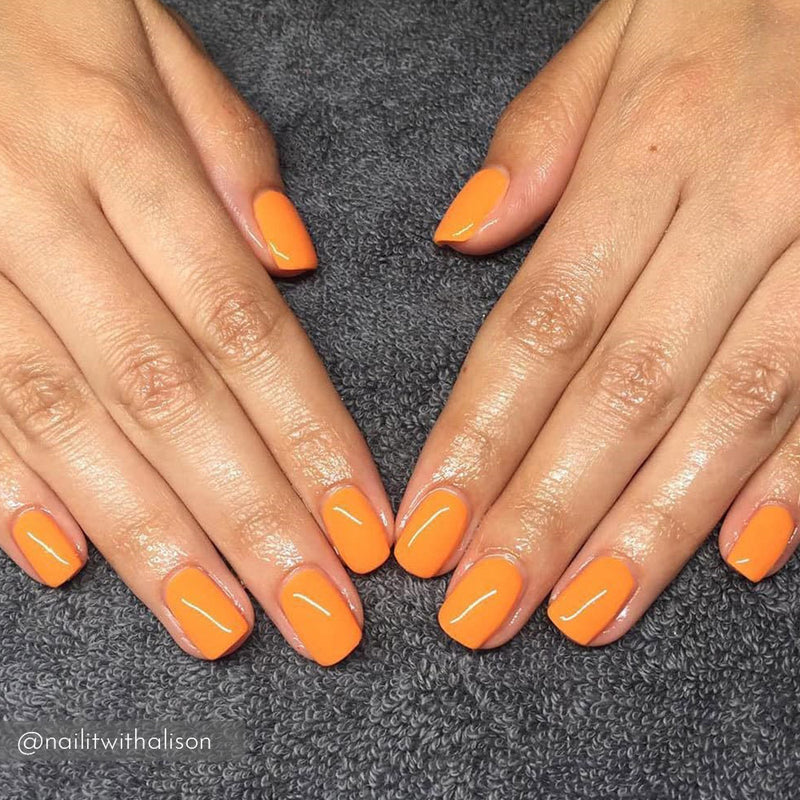 Sold Out CG844