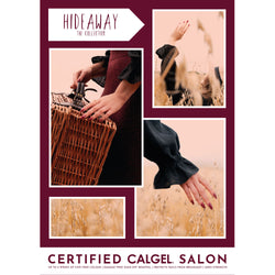 Hideaway Poster