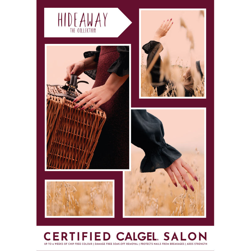 Hideaway Poster