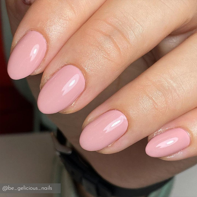 Protea Pink IZPP